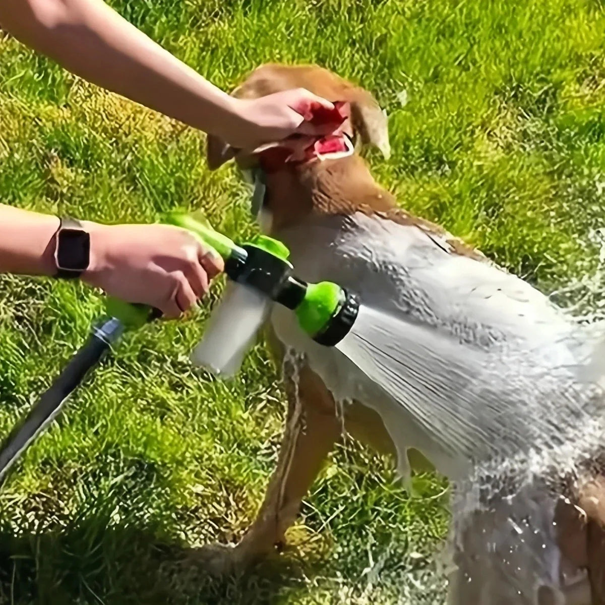 Easy Dog Bath Sprayer